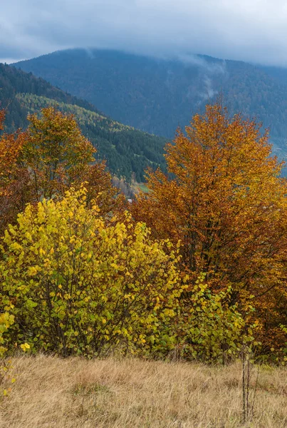 Molnigt Och Dimmigt Höstängsscen Fridfull Pittoresk Resa Säsong Natur Och — Stockfoto