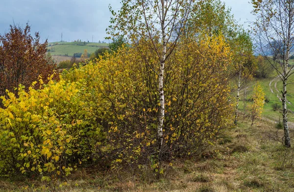 Mraky Mlhavé Ranní Podzimní Louky Klidné Malebné Cestování Sezónní Příroda — Stock fotografie
