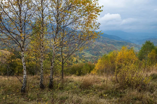 Nuvoloso Nebbioso Mattina Scena Prato Autunnale Tranquillo Pittoresco Viaggio Stagionale — Foto Stock