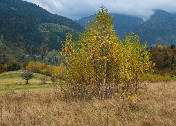 Molnigt Och Dimmigt Höstängsscen Fridfull Pittoresk Resa Säsong Natur Och — Stockfoto