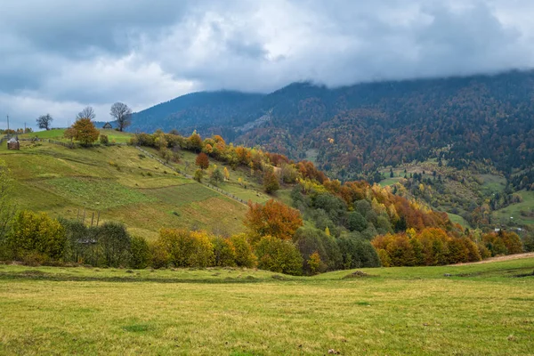 Bewölkt Und Neblig Morgendliches Herbstwiesenszenario Friedliche Malerische Reisen Saisonale Natur — Stockfoto