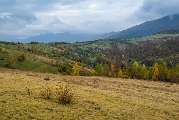 Bewölkt Und Neblig Morgendliches Herbstwiesenszenario Friedliche Malerische Reisen Saisonale Natur — Stockfoto