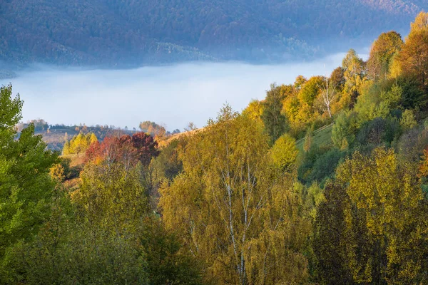 Foggy Scena Montagna Primo Mattino Autunno Tranquillo Pittoresco Viaggio Stagionale — Foto Stock