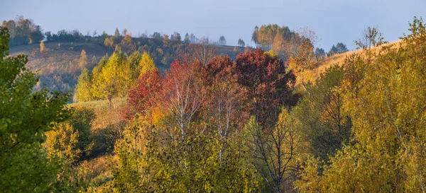 Foggy Scena Montagna Primo Mattino Autunno Tranquillo Pittoresco Viaggio Stagionale — Foto Stock