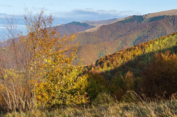 Nebelige Herbstlandschaft Frühen Morgen Friedliche Malerische Reisen Saisonale Natur Und — Stockfoto