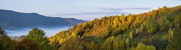 Mistige Vroege Ochtend Herfst Bergen Scene Vreedzaam Pittoresk Reizen Seizoensgebonden — Stockfoto