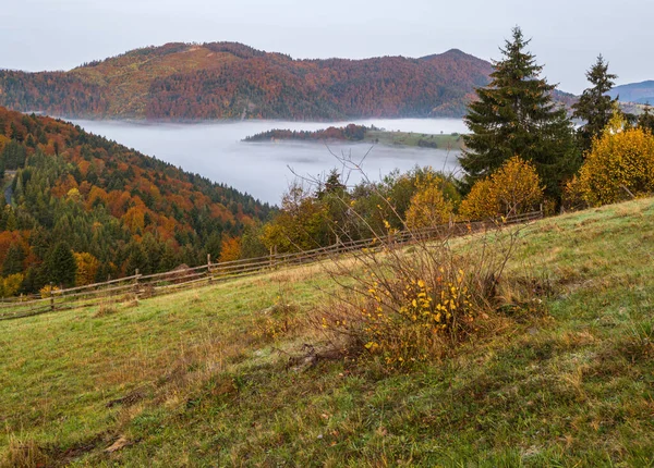 Туманная Сцена Осенних Гор Ранним Утром Красивый Пейзаж Пейзаж Природа — стоковое фото