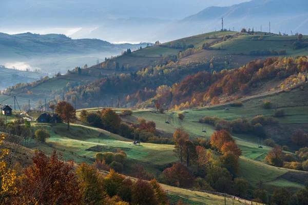 안개가 가을의 보인다 평화롭고 아름다운 시골의아름다움 펼쳐지는 곳이다 우크라이나 카르파티아 — 스톡 사진
