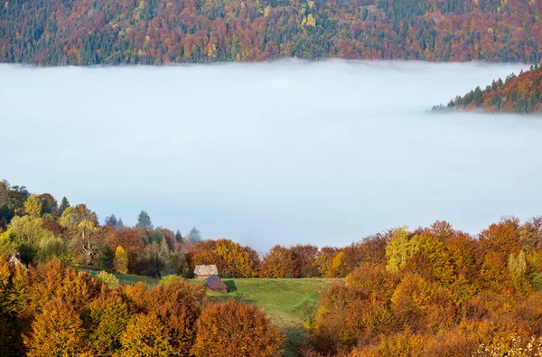 Niebla Temprano Mañana Otoño Montañas Escena Paisaje Pintoresco Pacífico Estacional — Foto de Stock