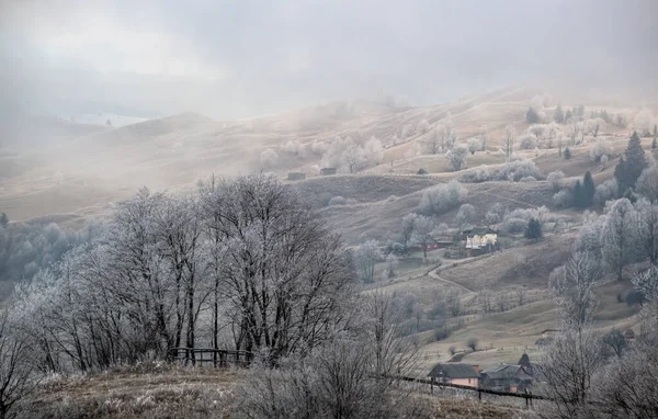 Inverno Está Chegar Nublado Nebuloso Manhã Muito Tarde Outono Montanhas — Fotografia de Stock