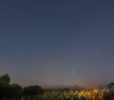 Neowise Kuyruklu Yıldızı C2020 F3 yaz gökyüzünde Ukrayna 'nın Lviv Bölgesi kırsal yolu yakınlarındaki çayır üzerinde uçarken.