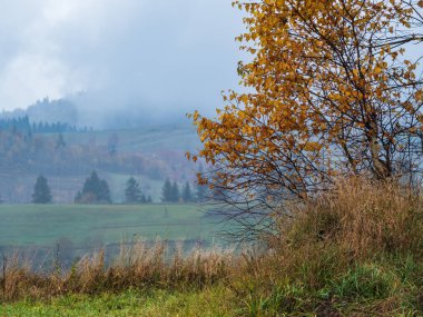 Bulutlu ve sisli sonbahar dağları manzarası. Huzurlu bir seyahat, mevsimlik, doğa ve kırsal güzellik konsepti. Karpat Dağları, Ukrayna.