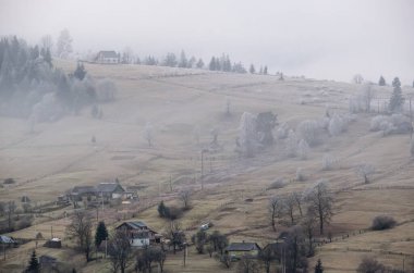 Kış geliyor. Bulutlu ve sisli bir sabah, çok geç sonbahar dağları sahnesi. Huzurlu bir seyahat, mevsimlik, doğa ve kırsal güzellik konsepti. Karpat Dağları, Ukrayna.
