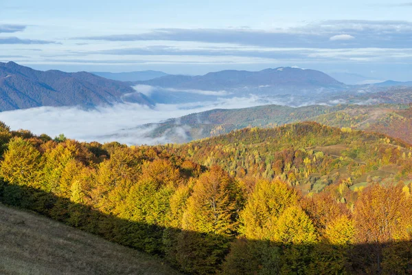 Niebla Temprano Mañana Otoño Montañas Escena Paisaje Pintoresco Pacífico Estacional —  Fotos de Stock