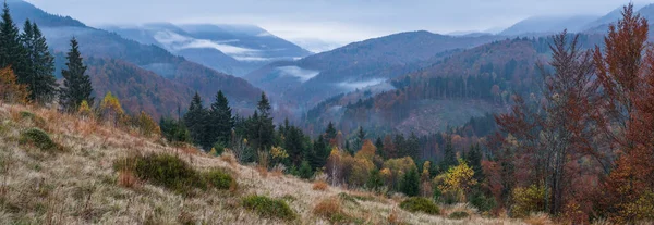 Bewölkt Und Neblig Frühmorgendliche Herbstbergszene Friedliche Malerische Reisen Saisonale Natur — Stockfoto