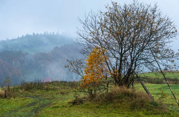 Bewölkt Und Neblig Herbstbergszene Friedliche Malerische Reisen Saisonale Natur Und — Stockfoto