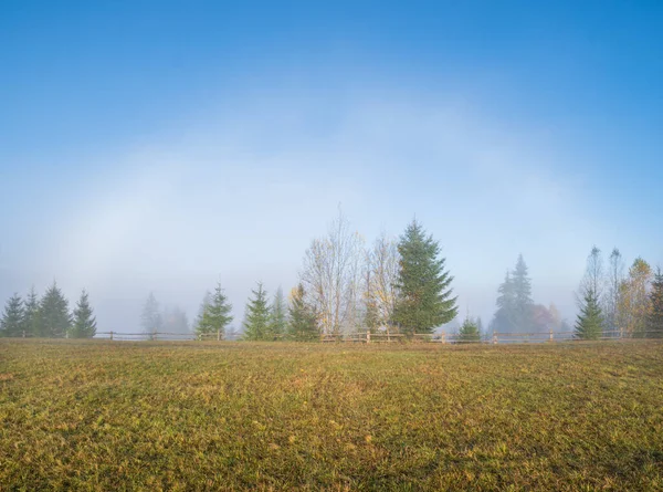 Chmurny Mglisty Poranek Późna Jesienna Scena Gór Spokojne Malownicze Podróże — Zdjęcie stockowe