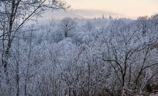 Der Winter Kommt Bewölkt Und Neblig Morgen Sehr Spätherbstliche Bergkulisse — Stockfoto