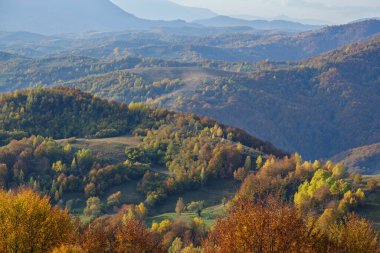 Sonbahar sabahı Karpat Dağları sakin resim sahnesi, Ukrayna. Huzurlu seyahat, mevsimlik, doğa ve kırsal güzellik konsepti.