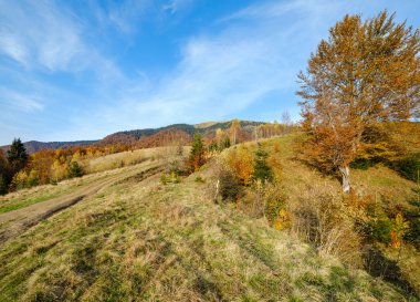 Sonbahar sabahı Karpat Dağları sakin resim sahnesi, Ukrayna. Huzurlu seyahat, mevsimlik, doğa ve kırsal güzellik konsepti.