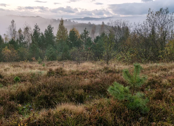 Bewolkt Mistig Vroeg Herfst Weide Scene Vreedzaam Pittoresk Reizen Seizoensgebonden — Stockfoto