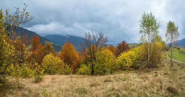 曇りと霧の朝の秋の牧草地のシーン 静かな絵の旅 自然と田舎の美しさのコンセプトシーン カルパティア山脈 ウクライナ — ストック写真