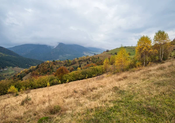 Bulutlu Sisli Bir Sonbahar Otlağı Sahnesi Huzurlu Bir Seyahat Mevsimlik — Stok fotoğraf