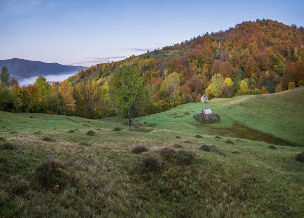 Nebelige Herbstlandschaft Frühen Morgen Friedliche Malerische Reisen Saisonale Natur Und — Stockfoto