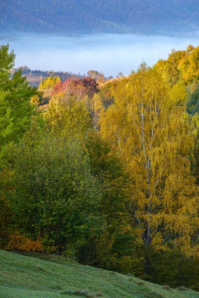 Foggy Scena Montagna Primo Mattino Autunno Tranquillo Pittoresco Viaggio Stagionale — Foto Stock