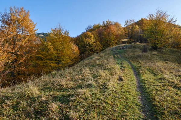 Herfst Ochtend Karpaten Kalmeren Pittoreske Scène Oekraïne Vreedzaam Reizen Seizoensgebonden — Stockfoto