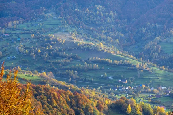 Herbstmorgen Karpaten Ruhigen Malerischen Szene Ukraine Friedliches Reisen Saisonale Natur — Stockfoto