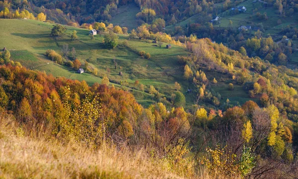 Autumn Morning Carpathian Mountains Calm Picturesque Scene Ukraine Peaceful Traveling — Stock Photo, Image