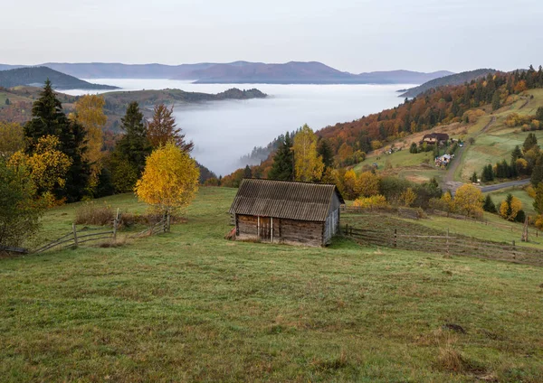霧の早朝秋の山のシーン 静かな絵の旅 自然と田舎の美しさのコンセプトシーン カルパティア山脈 ウクライナ — ストック写真
