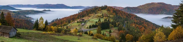 Foggy Tôt Matin Automne Montagne Scène Calme Voyage Pittoresque Saisonnier — Photo