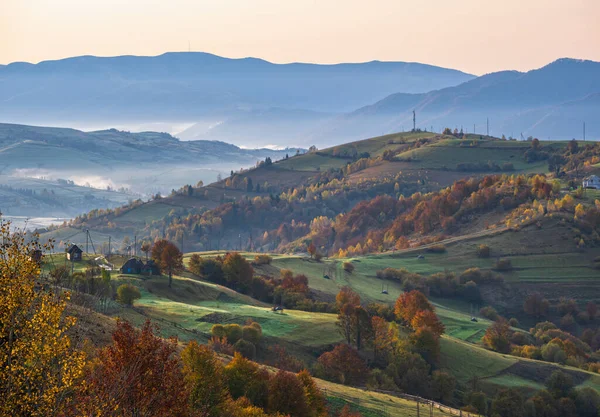 Foggy Cedo Manhã Outono Montanhas Cena Viagem Pitoresca Pacífica Sazonal — Fotografia de Stock