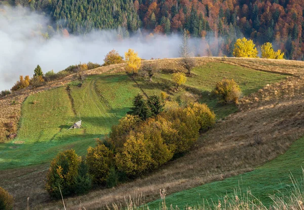 多雾的早秋山景 宁静的风景秀丽的旅游 季节性的 自然的和乡村的美的概念风景 乌克兰喀尔巴阡山脉 — 图库照片
