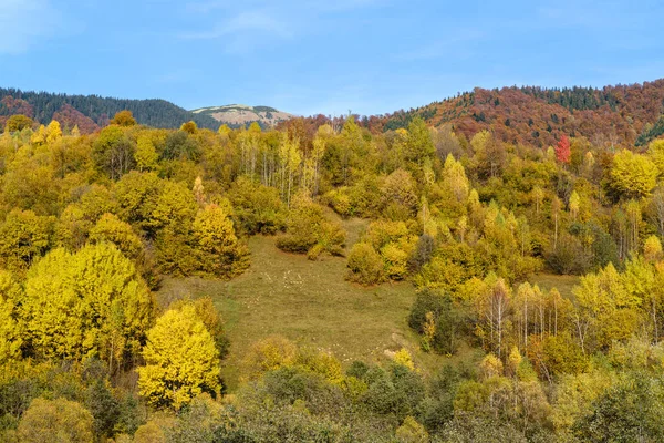 Herfst Ochtend Karpaten Kalmeren Pittoreske Scène Oekraïne Vreedzaam Reizen Seizoensgebonden — Stockfoto