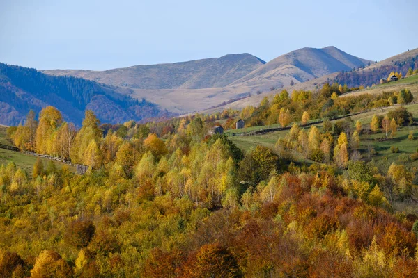 秋の朝カルパティア山脈穏やかな絵のようなシーン ウクライナ 穏やかな旅行 自然と田舎の美しさのコンセプトシーン — ストック写真