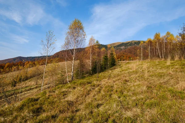 Jesienny Poranek Góry Karpackie Spokojna Malownicza Scena Ukraina Pokojowe Podróże — Zdjęcie stockowe