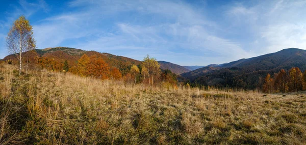 Automne Matin Montagnes Des Carpates Calme Scène Pittoresque Ukraine Voyages — Photo