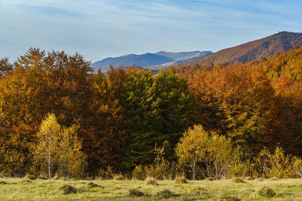 Jesienny Poranek Góry Karpackie Spokojna Malownicza Scena Ukraina Pokojowe Podróże — Zdjęcie stockowe