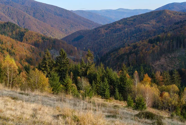 Autumn Morning Carpathian Mountains Calm Picturesque Scene Ukraine Peaceful Traveling — Stock Photo, Image