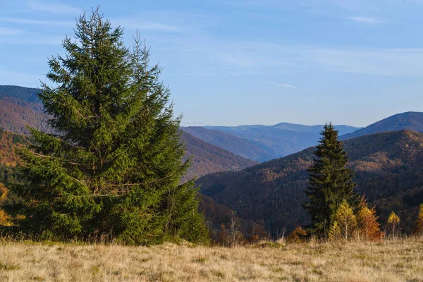 Mattina Autunnale Montagne Carpatiche Calma Scena Pittoresca Ucraina Tranquillo Viaggio — Foto Stock