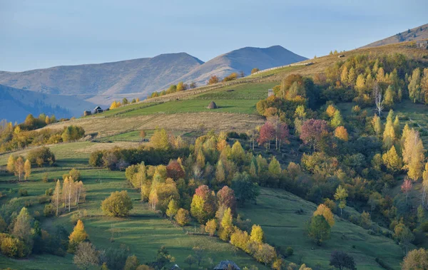 Jesienny Poranek Góry Karpackie Spokojna Malownicza Scena Ukraina Pokojowe Podróże — Zdjęcie stockowe