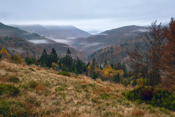Chmurne Mgliste Wczesnym Rankiem Sceny Jesiennych Gór Spokojne Malownicze Podróże — Zdjęcie stockowe