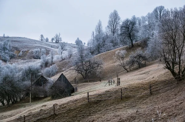 Winter Komt Eraan Bewolkte Mistige Ochtend Zeer Laat Herfst Bergen — Stockfoto
