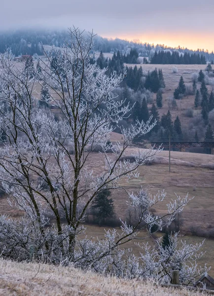 Vine Iarna Dimineața Înnorată Cețoasă Foarte Târziu Toamna Scena Munților — Fotografie, imagine de stoc