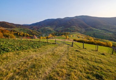 Sonbahar sabahı Karpat Dağları sakin resim sahnesi, Ukrayna. Huzurlu seyahat, mevsimlik, doğa ve kırsal güzellik konsepti.