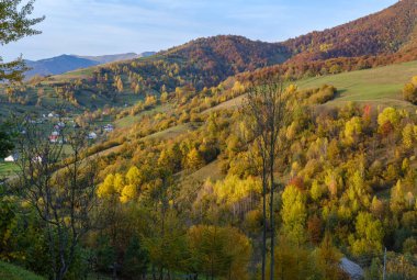 Sonbahar sabahı Karpat Dağları sakin resim sahnesi, Ukrayna. Huzurlu seyahat, mevsimlik, doğa ve kırsal güzellik konsepti.