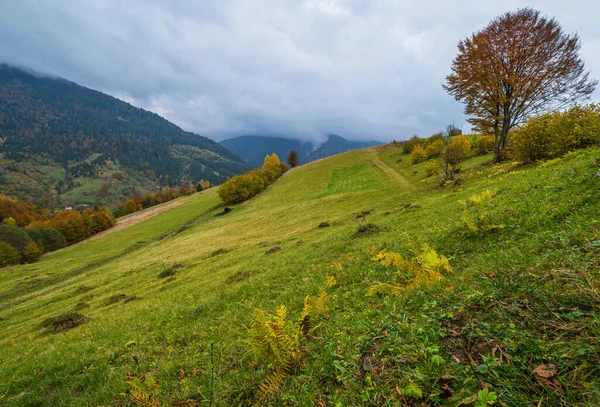 Felhős Ködös Reggeli Őszi Rét Jelenet Békés Festői Utazás Szezonális — Stock Fotó